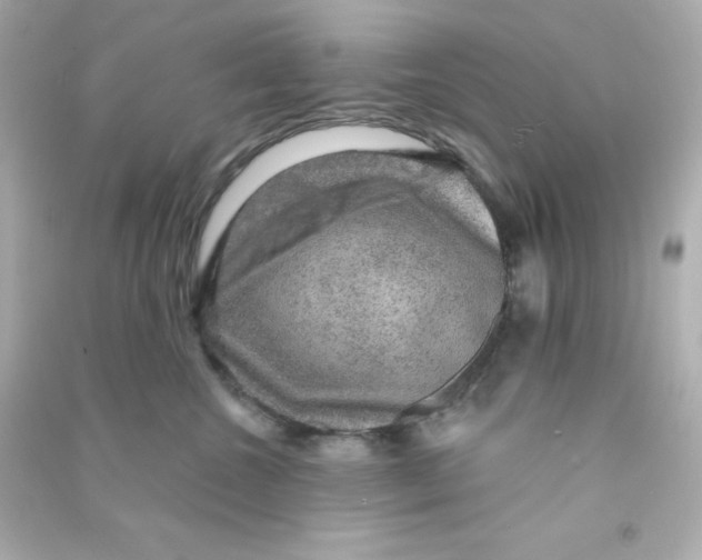X0000090440572200708102030