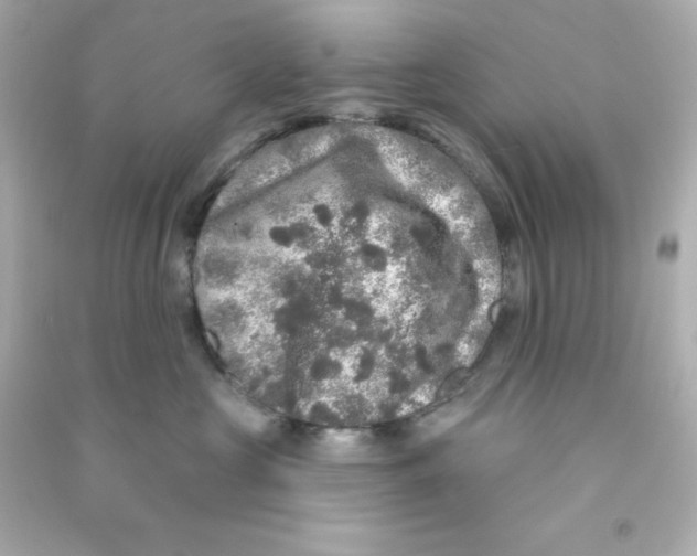 X0000090440573200708102030
