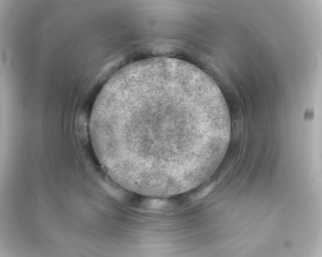 X0000090440575200708102030