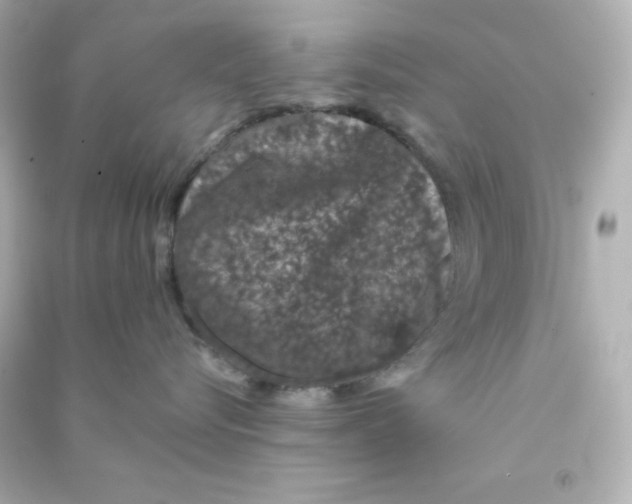 X0000090440576200708102030