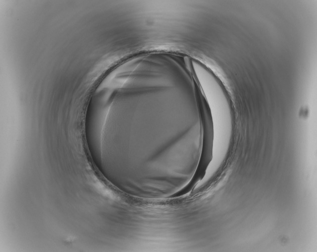 X0000090440577200708102029