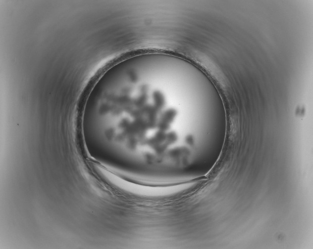 X0000090440580200708102029