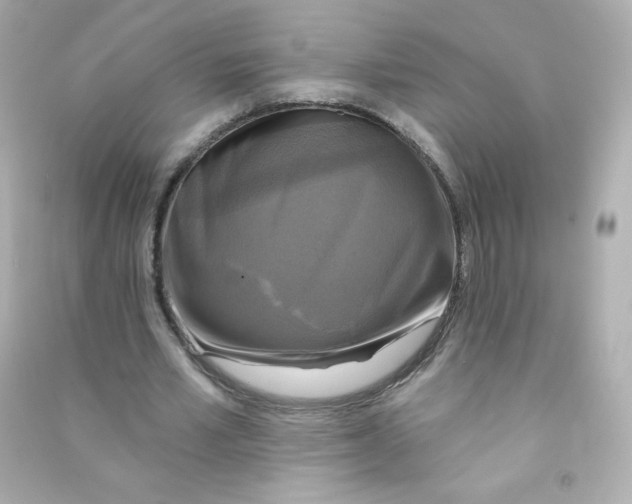 X0000090440581200708102029