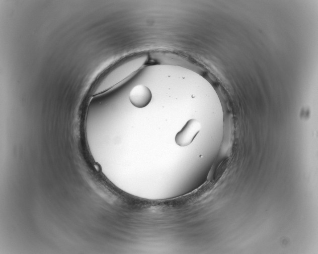 X0000090440584200708102029
