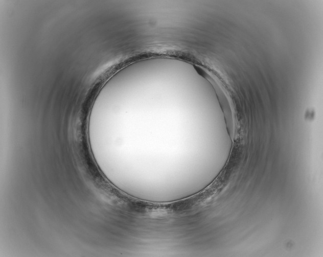 X0000090440587200708102029