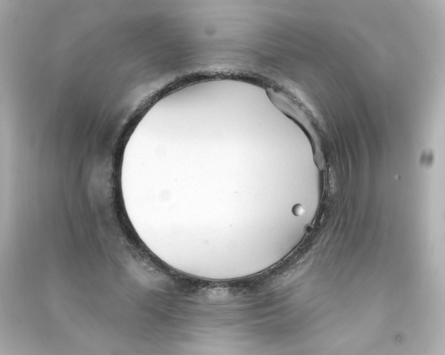 X0000090440588200708102029