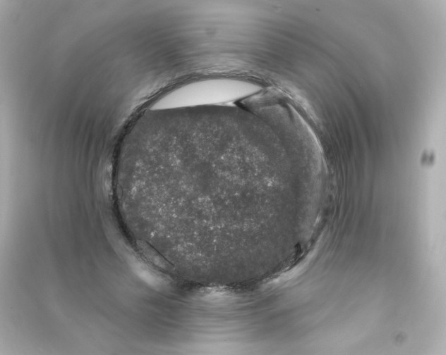 X0000090440589200708102029