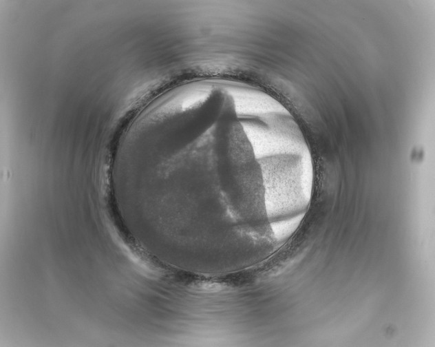 X0000090440590200708102029