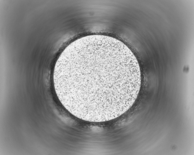 X0000090440592200708102029