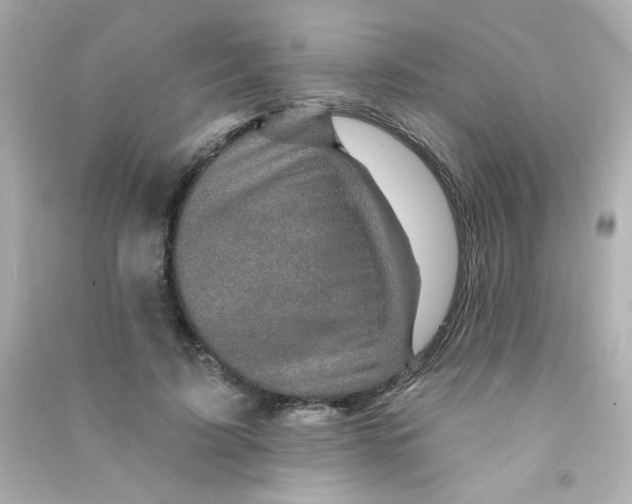 X0000090440595200708102029