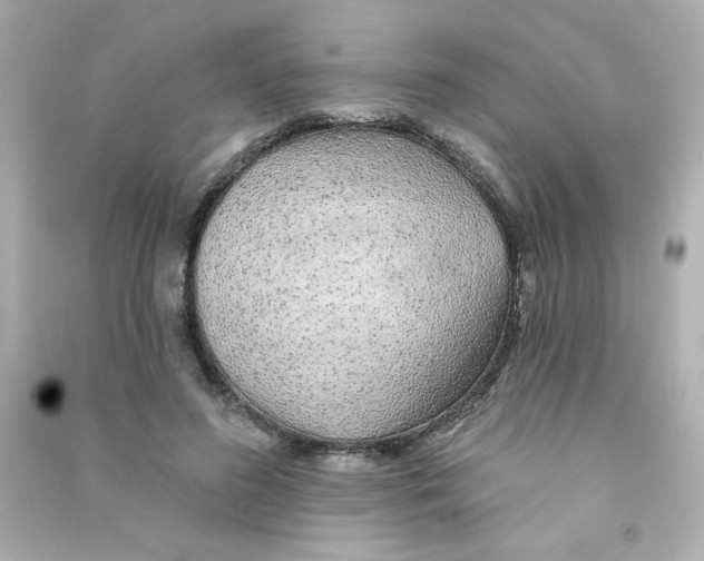 X0000090440596200708102029