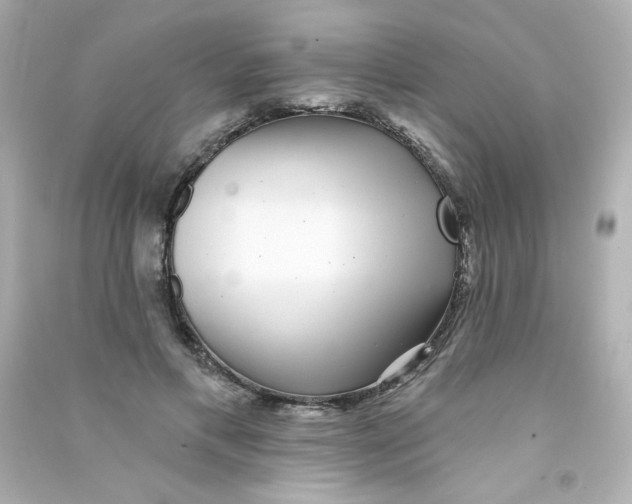 X0000090440597200708102029