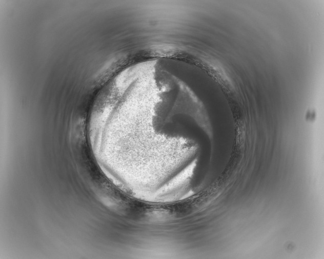 X0000090440598200708102029