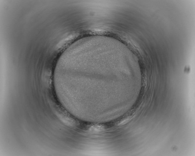 X0000090440599200708102029