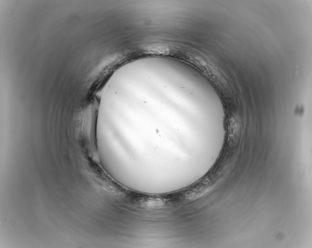 X0000090440600200708102029