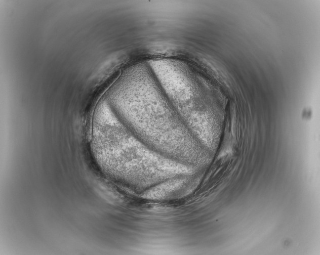 X0000090440601200708102029