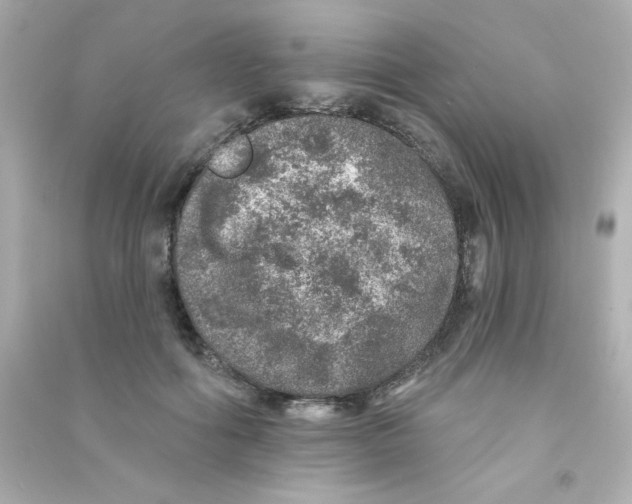 X0000090440602200708102029