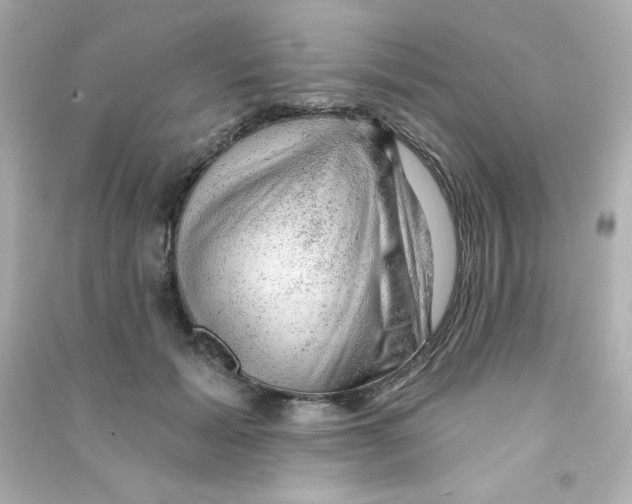 X0000090440605200708102029