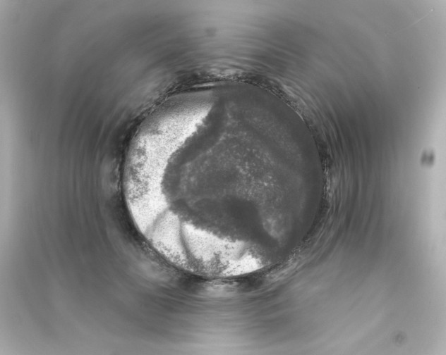 X0000090440606200708102029