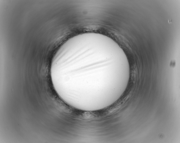 X0000090440608200708102029