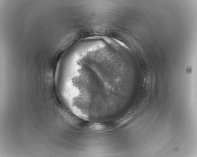 X0000090440610200708102029