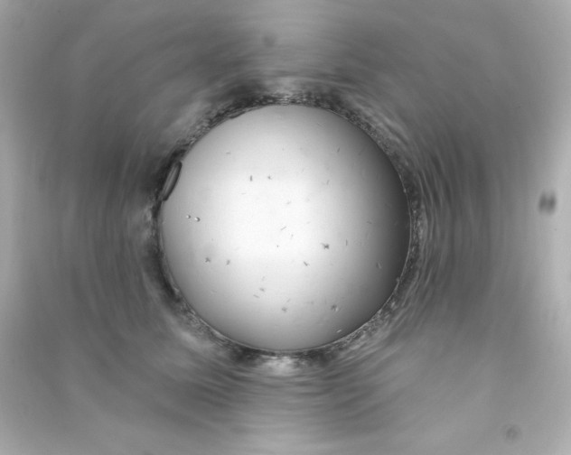 X0000090440611200708102029