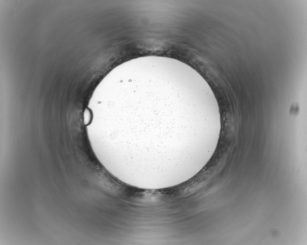 X0000090440612200708102029