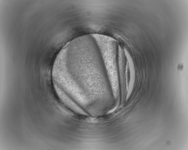 X0000090440613200708102029