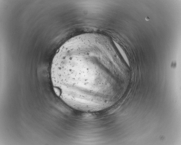 X0000090440616200708102029