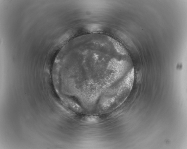 X0000090440618200708102028