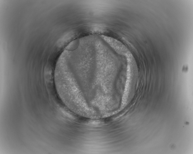 X0000090440619200708102028