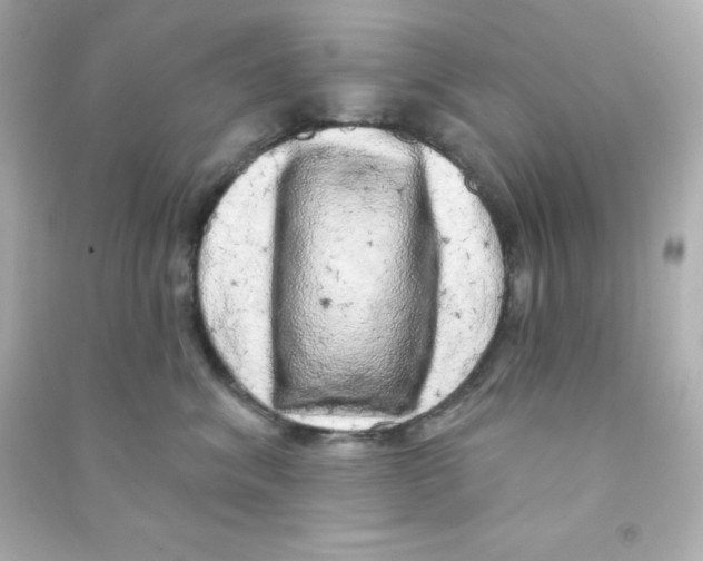 X0000090440620200708102028