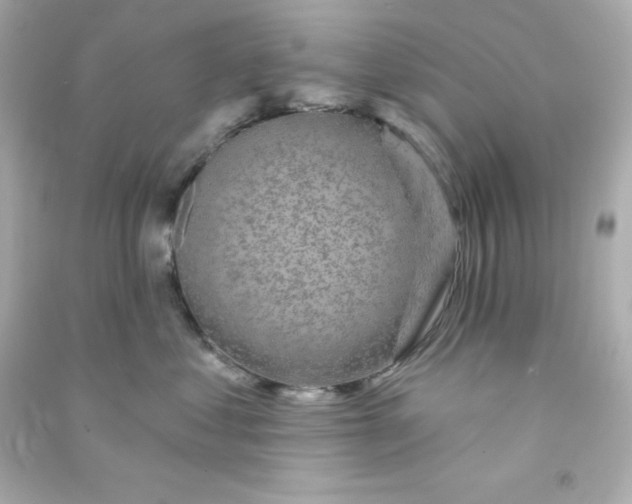 X0000090440621200708102028