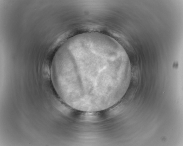 X0000090440622200708102028