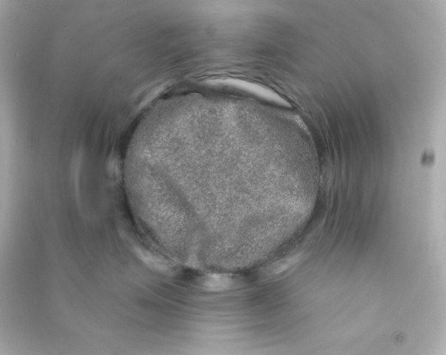 X0000090440623200708102028