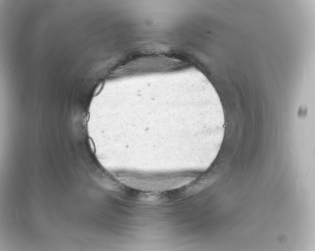 X0000090440624200708102028