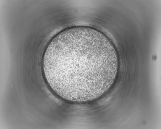 X0000090440625200708102028