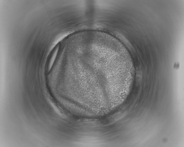 X0000090440626200708102028