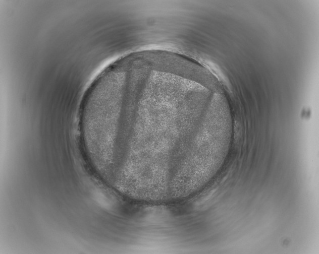 X0000090440628200708102028