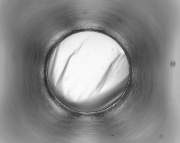 X0000090440629200708102028