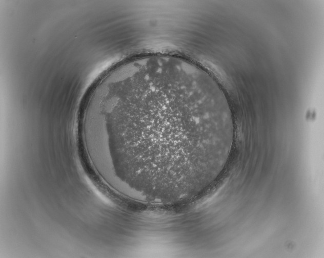 X0000090440630200708102028