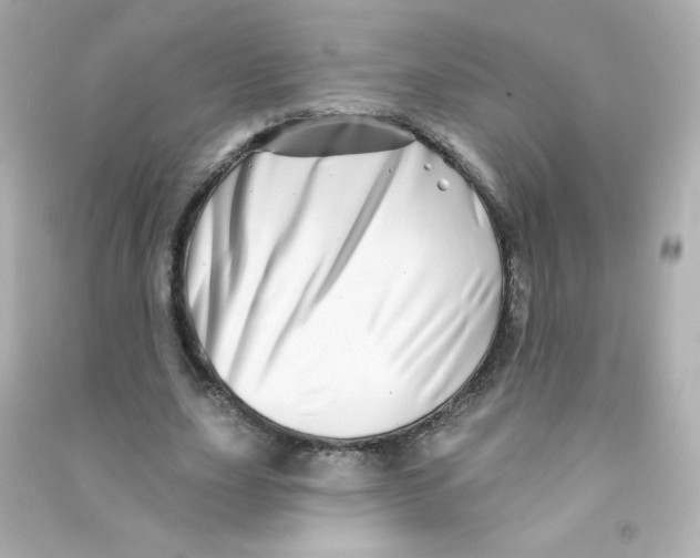 X0000090440631200708102028