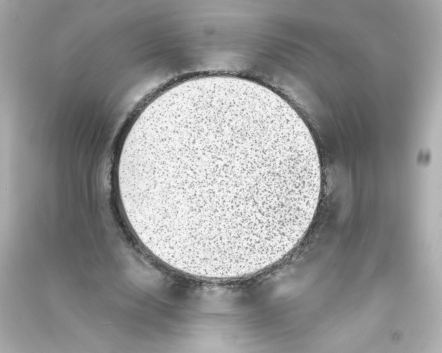 X0000090440632200708102028