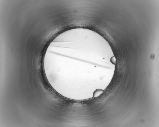 X0000090440635200708102028