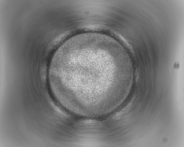 X0000090440637200708102028