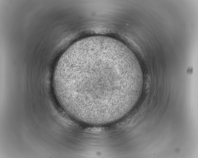 X0000090440639200708102028