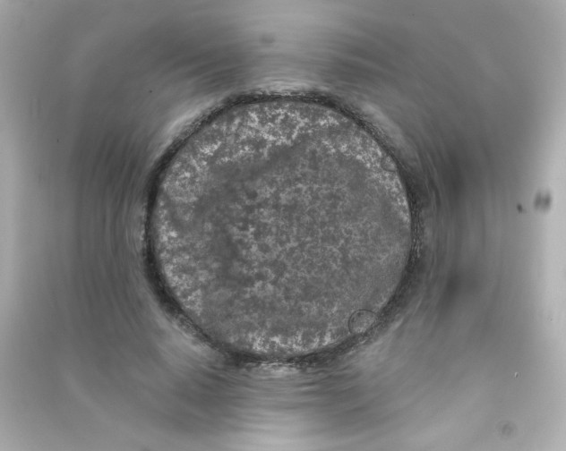 X0000090440640200708102028