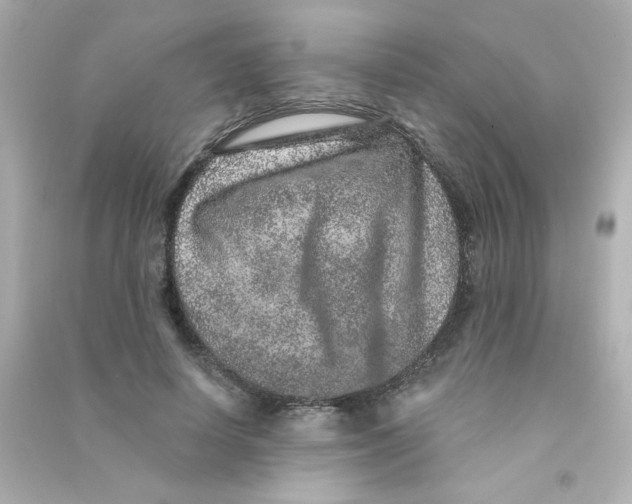 X0000090440642200708102028