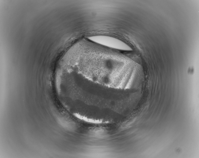 X0000090440643200708102028