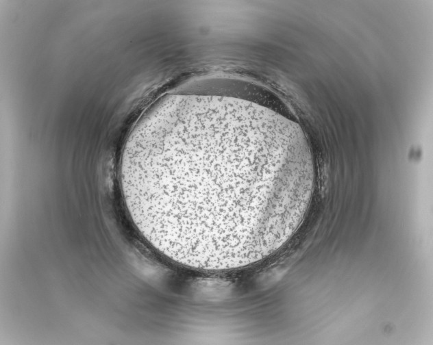 X0000090440644200708102028